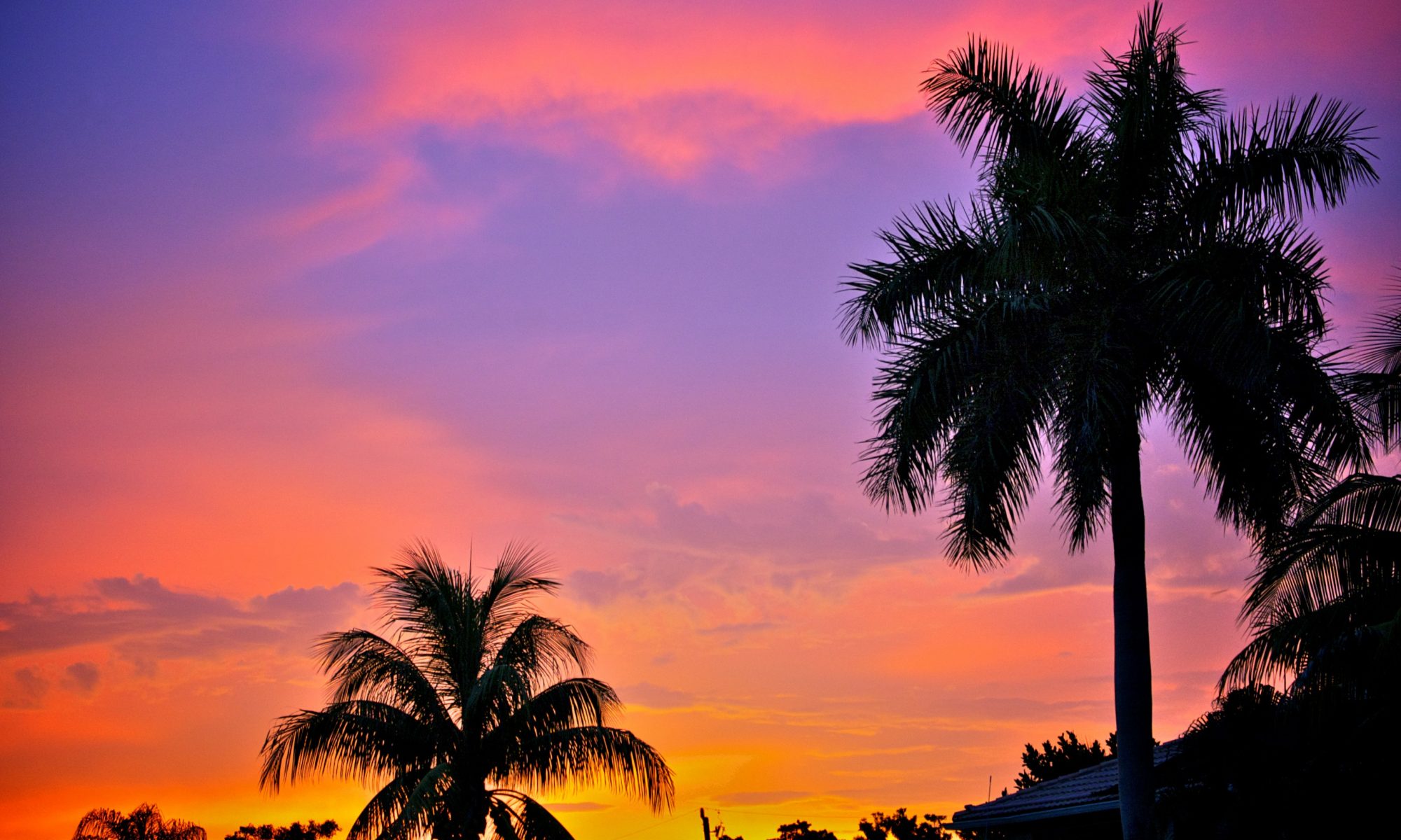 Sunset Palms at RealtyCentral.com LLC
